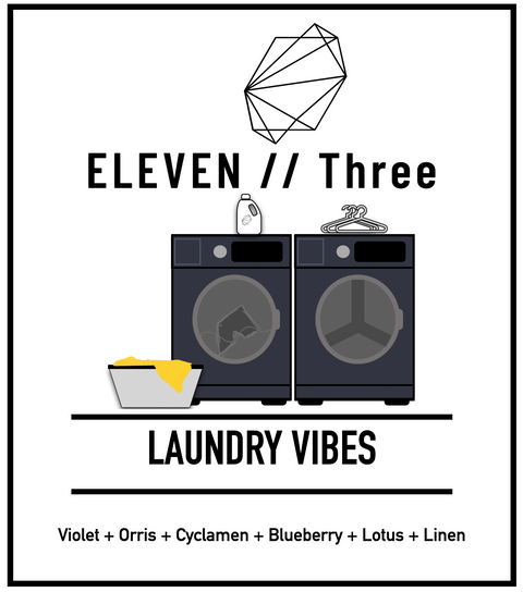 LAUNDRY VIBES