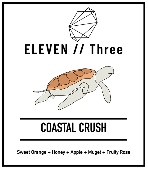 COASTAL CRUSH